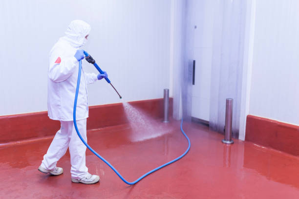 Best Solar Panel Cleaning  in Aledo, TX
